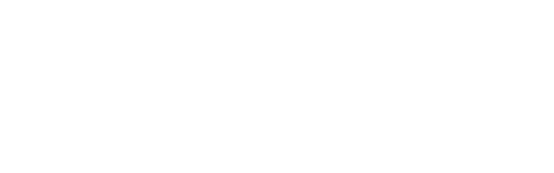 the Tiger Official Blog